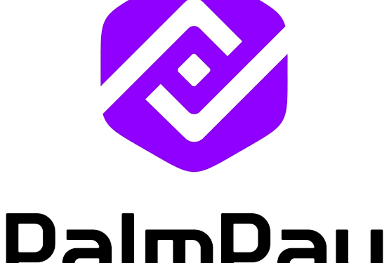PalmPay Launches N400 million Festive Rewards Campaign With Cash Prizes
