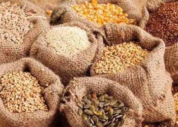 Nigeria Strengthens Seed Industry with ₦50 Billion Catalytic Funds