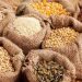 Nigeria Strengthens Seed Industry with ₦50 Billion Catalytic Funds