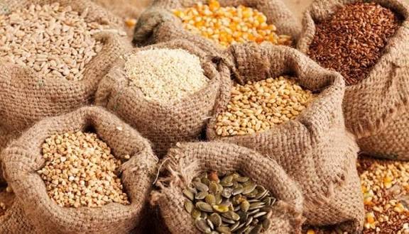 Nigeria Strengthens Seed Industry with ₦50 Billion Catalytic Funds