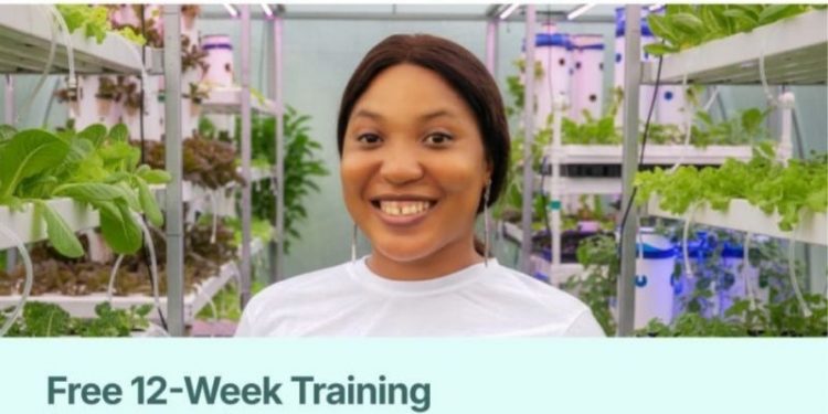 Call For Applications : Free 12-Week Hybrid Digital Training in Agribusiness and Climate-Smart Skills – Agrisiti & TAGDev 2.0 Program for Young Africans