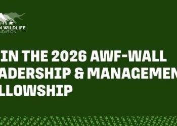 Call For Applications: AWF-WALL Leadership & Management Fellowship 2026 For African Professionals (Fully Funded To Nairobi, Kenya)