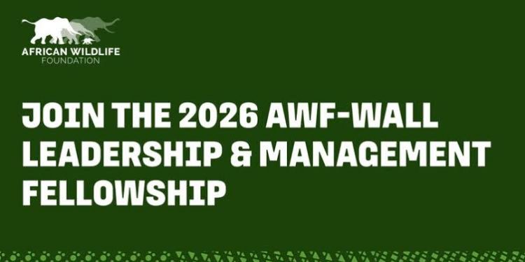 Call For Applications: AWF-WALL Leadership & Management Fellowship 2026 For African Professionals (Fully Funded To Nairobi, Kenya)