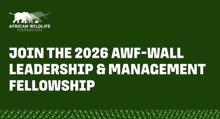 Call For Applications: AWF-WALL Leadership & Management Fellowship 2026 For African Professionals (Fully Funded To Nairobi, Kenya)