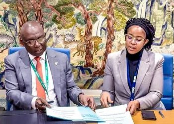 Nigeria, Tanzania Seal Maritime Pact to Boost Surveillance, Seafarer Skills and Digital Systems