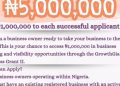 GrowthGia Shortlists Nigerian SMEs for Business Grant II, Spotlighting Growth