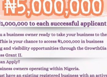 GrowthGia Shortlists Nigerian SMEs for Business Grant II, Spotlighting Growth