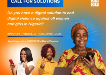 Call For Applications: UNDP Nigeria Digital Solutions to End Online Violence Against Women & Girls
