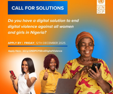 Call For Applications: UNDP Nigeria Digital Solutions to End Online Violence Against Women & Girls