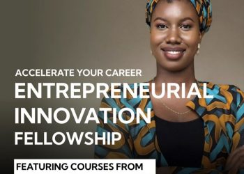 Call for Applications: Entrepreneurial Innovation Fellowship (Featuring Courses from Stanford Online)