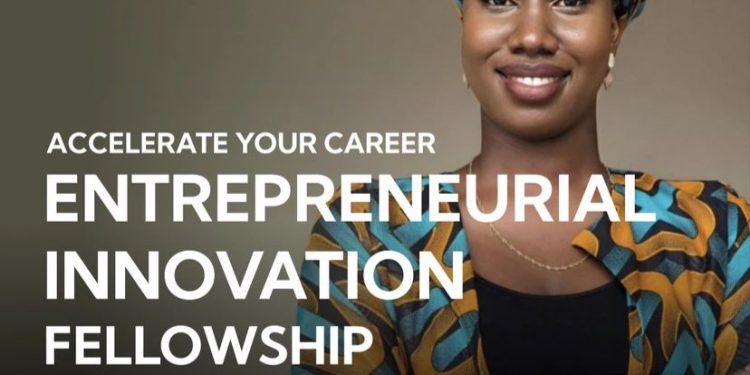 Call for Applications: Entrepreneurial Innovation Fellowship (Featuring Courses from Stanford Online)