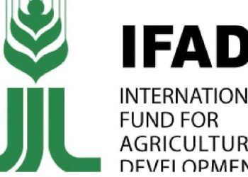 Digital Academy Rolls Out Youth Empowerment Initiative, Jobs for Majority of First Graduates