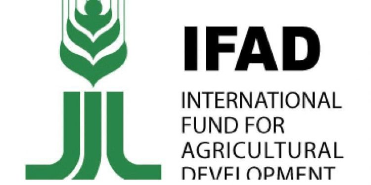 Digital Academy Rolls Out Youth Empowerment Initiative, Jobs for Majority of First Graduates