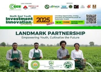 Call for Applications: North-East Youth Investment and Innovation Summit