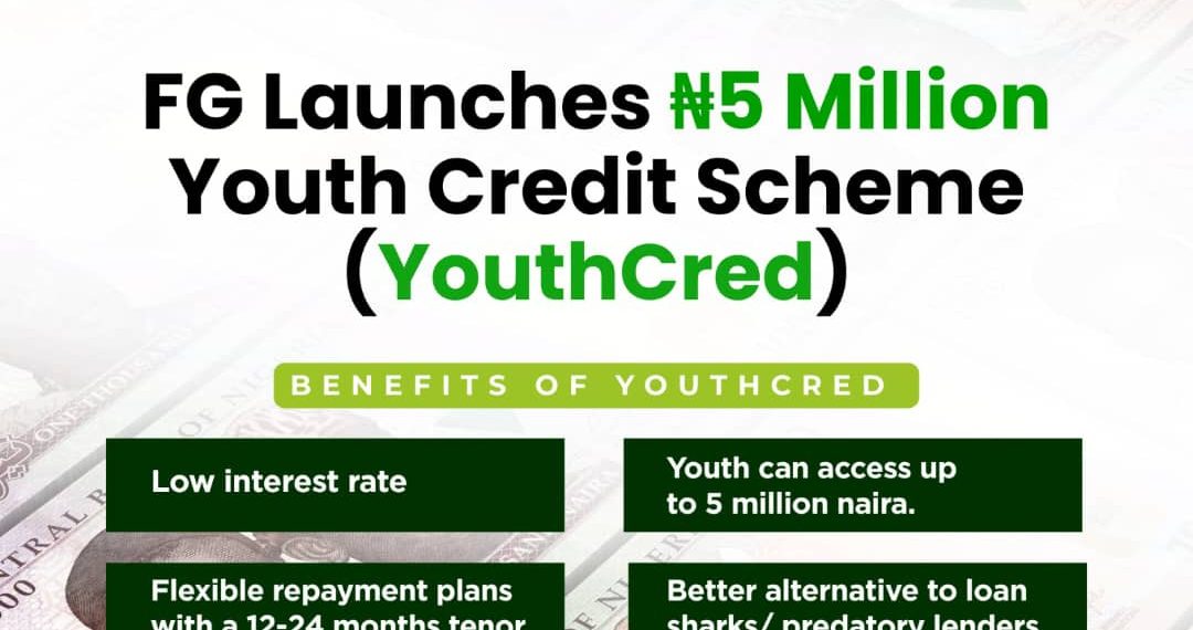 Call For Applications: FG Youth Credit Scheme (YouthCred) {Up To ₦5 Million}