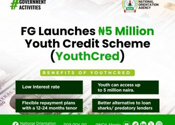 Call For Applications: FG Youth Credit Scheme (YouthCred) {Up To ₦5 Million}