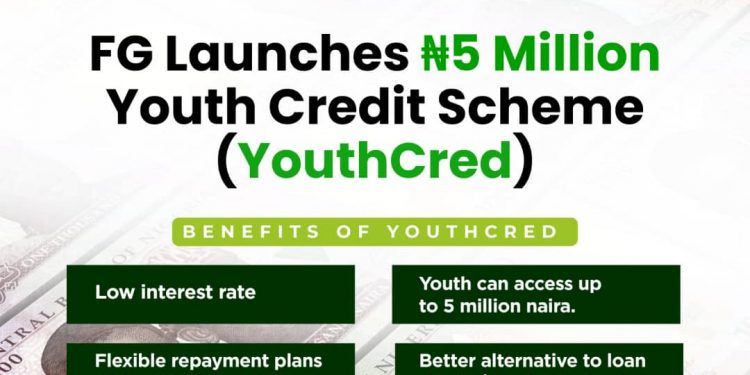 Call For Applications: FG Youth Credit Scheme (YouthCred) {Up To ₦5 Million}
