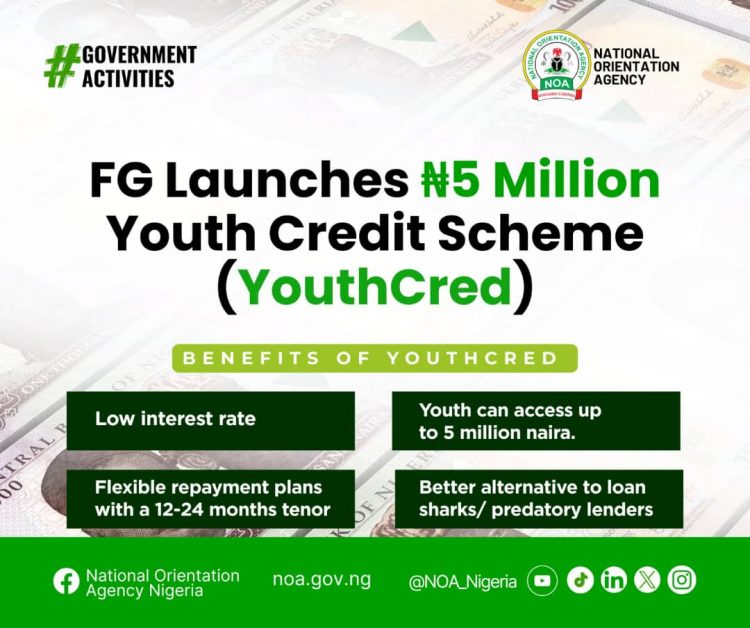 Call For Applications: FG Youth Credit Scheme (YouthCred) {Up To ₦5 Million}