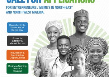 Call for Applications: DBN Innovation Hub Support Program for MSMEs in North West & North East Nigeria
