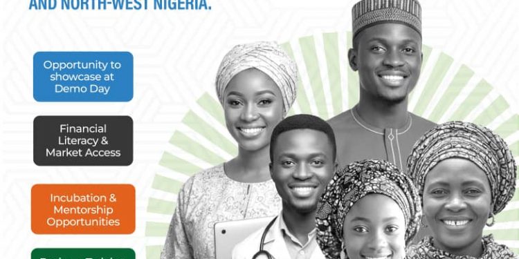 Call for Applications: DBN Innovation Hub Support Program for MSMEs in North West & North East Nigeria