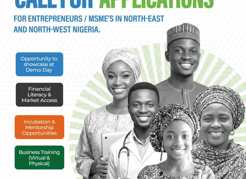Call for Applications: DBN Innovation Hub Support Program for MSMEs in North West & North East Nigeria