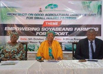 Adamawa Govt, NEPC, World Bank Train 150 SMEs, Award Export Certificates to Boost Trade