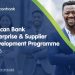 Call For Applications: African Bank MSME Capacity Building Program 2026  (12-Month Training and Mentorship)