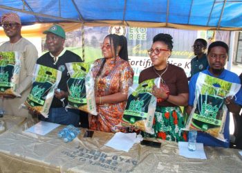 Lagos Unveils Rice Fortification Plant to Tackle Malnutrition, Strengthen Food Security