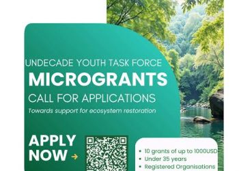 Call For Applications: UN Decade Youth Task Force Microgrants 2026 (Up to US$1,000 for Youth-Led Restoration Projects)