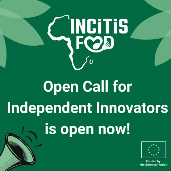 Call For Applications: GIZ Paid Internship Program 2026 (up to €2,349 Stipend)