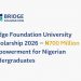 Call For Applications: Bridge Foundation University Scholarship 2026 (Up to N700 million Support for Nigerian Undergraduates)