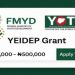 YEIDEP Grant 2025 Batch B: How Young Nigerians Can Apply for the ₦50,000–₦500,000 Federal Grant