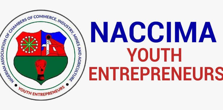 NIME Trains Over 2,000 Africans in Digital Skills, Connects Participants to Global Jobs