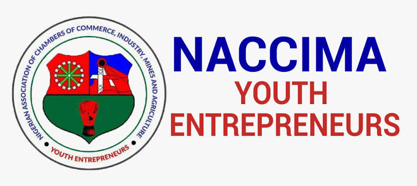 NIME Trains Over 2,000 Africans in Digital Skills, Connects Participants to Global Jobs