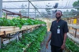 Ogun, Firm Partner to Drive Youth-led, Tech-powered Agriculture