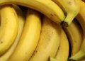 Nigeria’s Banana Export Potential Constrained by Quality, Logistics Challenges