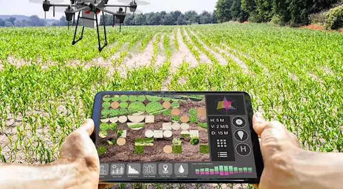 Nigerian Government Launches Nationwide Soil Testing Drive to Boost Farmer Productivity and Strengthen Agro-MSMEs