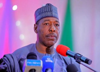 Borno Launches N1bn Scheme to Support Youth-led Micro Businesses