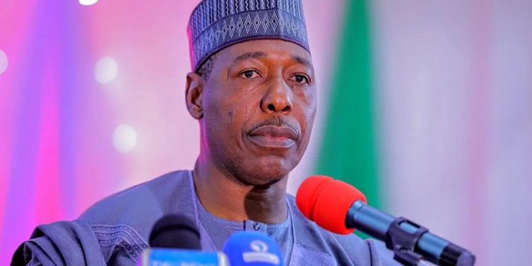 Borno Launches N1bn Scheme to Support Youth-led Micro Businesses