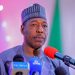 Borno Launches N1bn Scheme to Support Youth-led Micro Businesses