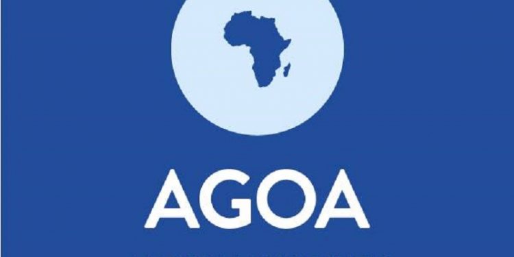 AU Welcomes US Congress Move to Extend AGOA, Expanding Market Access for African MSMEs
