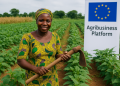 EU and Nigeria Roll Out New Policy Frameworks to Boost Agriculture, Food Security and Farmers’ Incomes