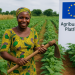 EU and Nigeria Roll Out New Policy Frameworks to Boost Agriculture, Food Security and Farmers’ Incomes
