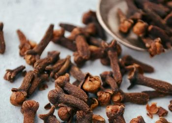 Nigeria Launches Maiden Cloves Farming Initiative to Empower Farmers, Boost Exports, and Create Jobs
