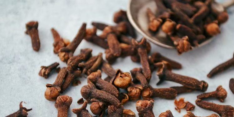 Nigeria Launches Maiden Cloves Farming Initiative to Empower Farmers, Boost Exports, and Create Jobs