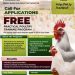 Call for Applications: Free Practical Poultry Training Programme For Farmers