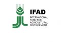 FG, IFAD To Empower 14,800 Youths in Ondo Agribusiness