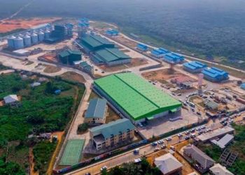 Imota Rice Mill Drives SME Growth, Strengthens Lagos’ Farm-to-Table Economy