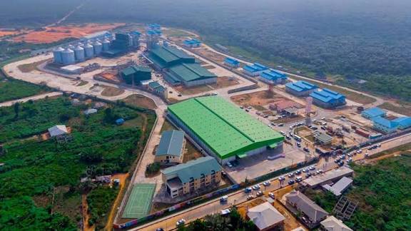 Imota Rice Mill Drives SME Growth, Strengthens Lagos’ Farm-to-Table Economy