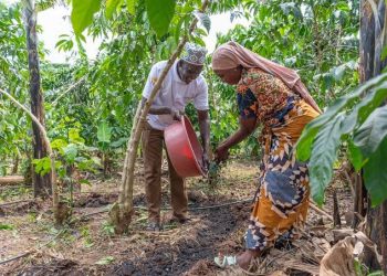 Ibadan Farmers Trained on Biochar Production to Boost Wetland Farming